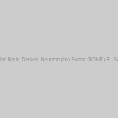 Image of Canine Brain Derived Neurotrophic Factor (BDNF) ELISA Kit